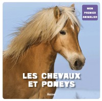 Les chevaux et poneys