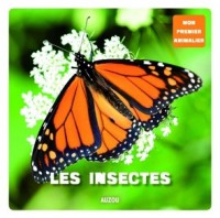 Les insectes du Québec