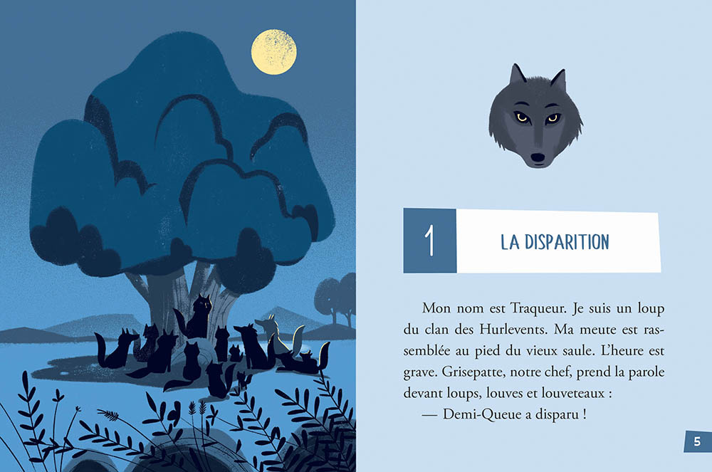 L'appel Des Loups - Tome 1 L'ombre Du Grizzly