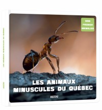 Les animaux minuscules du Québec