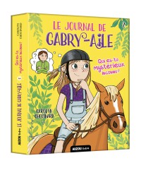 Le journal de Gabry Aile : Qui es-tu mystérieux inconnu?