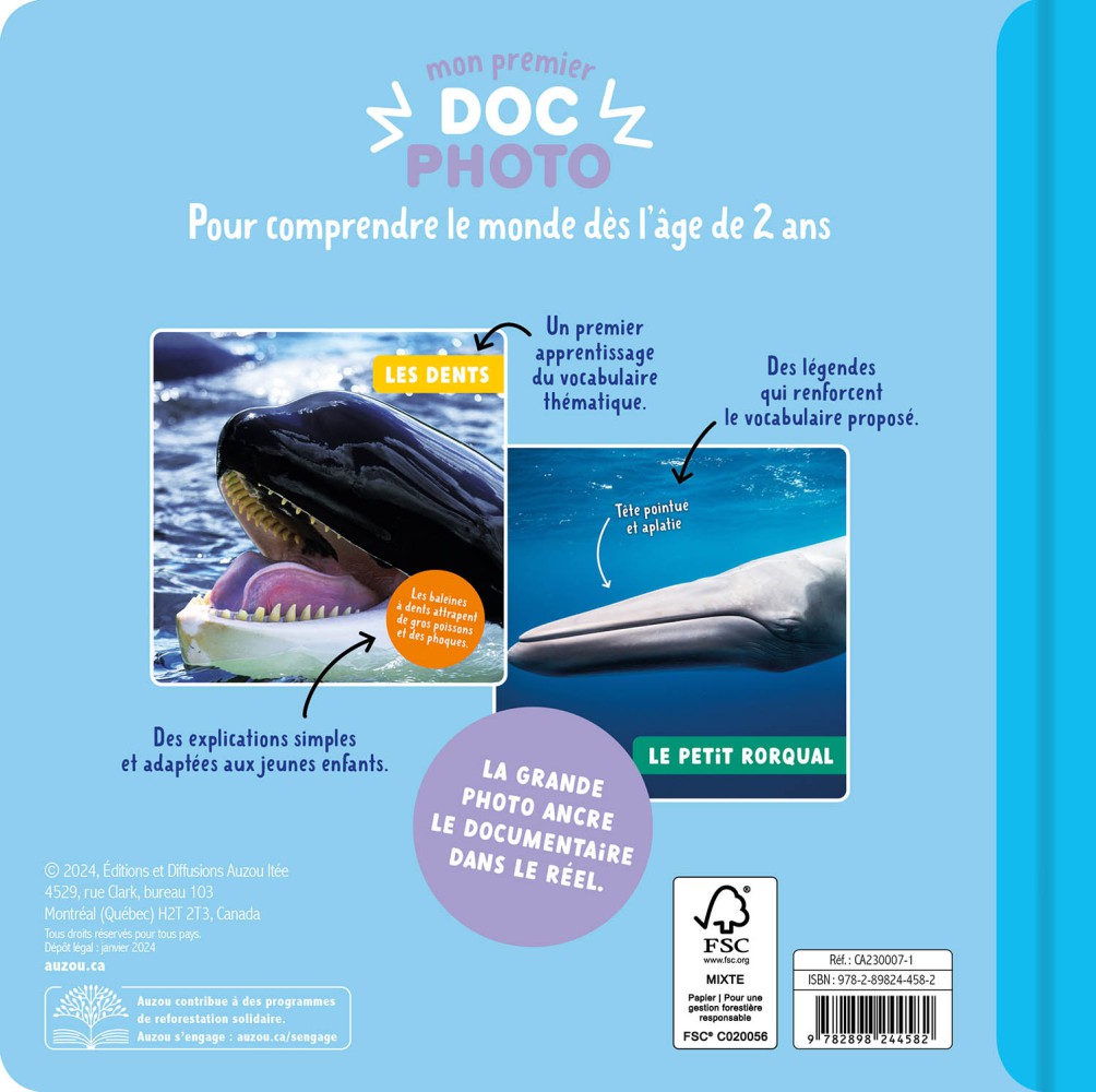 Baleines Et Autres Cétacés (Les)