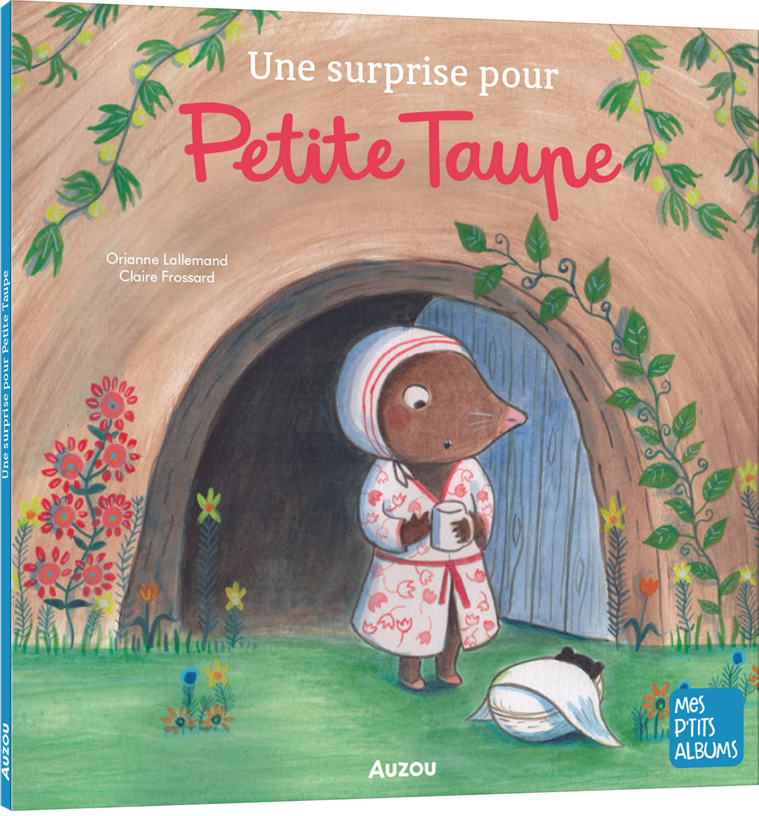 Une Surprise Pour Petite Taupe - Ne