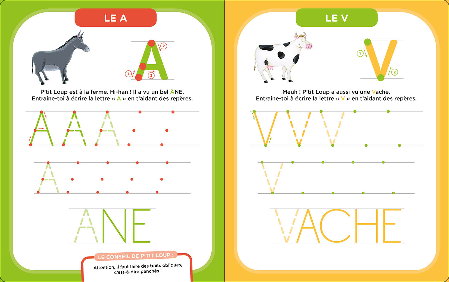 Mes Activités Effaçables P'tit Loup - Lettres Bâtons