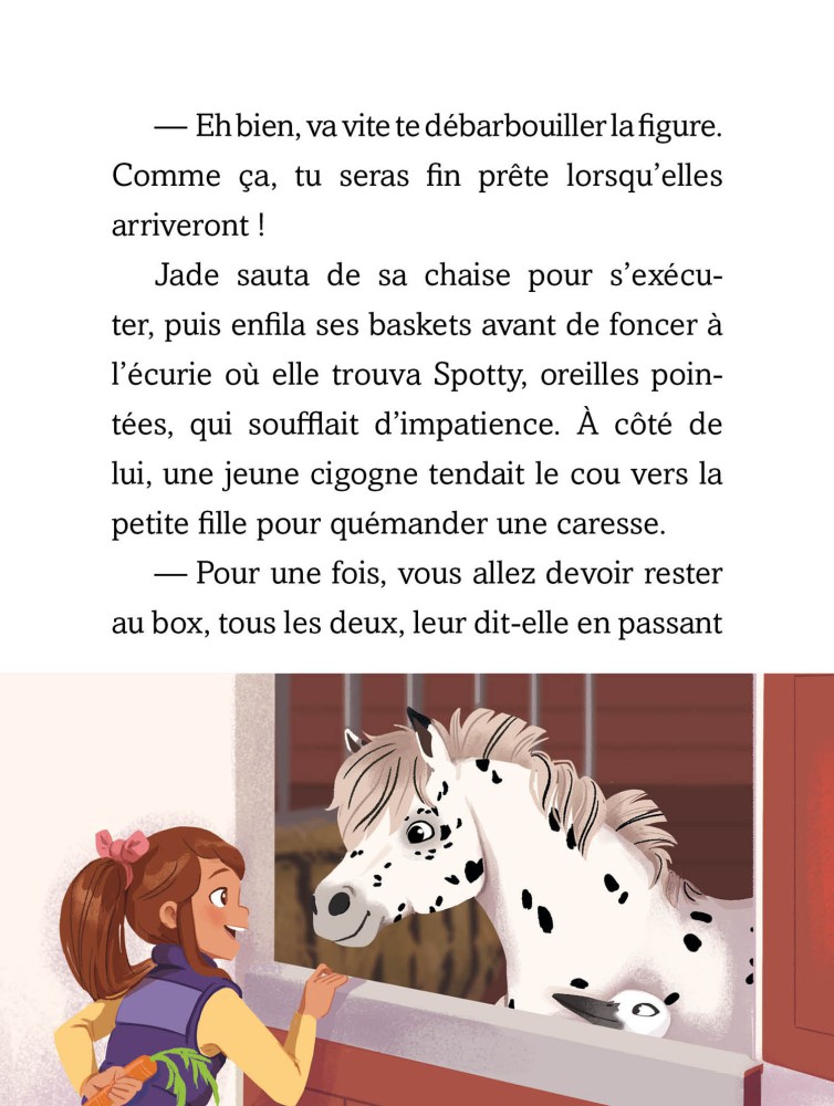 Jade Et Les Chevaux Tome 03 : Un Nouveau Poulain