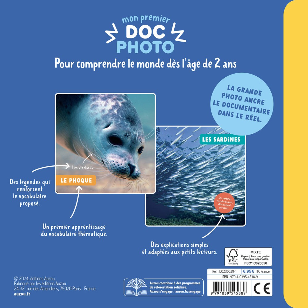 Les Animaux De La Mer